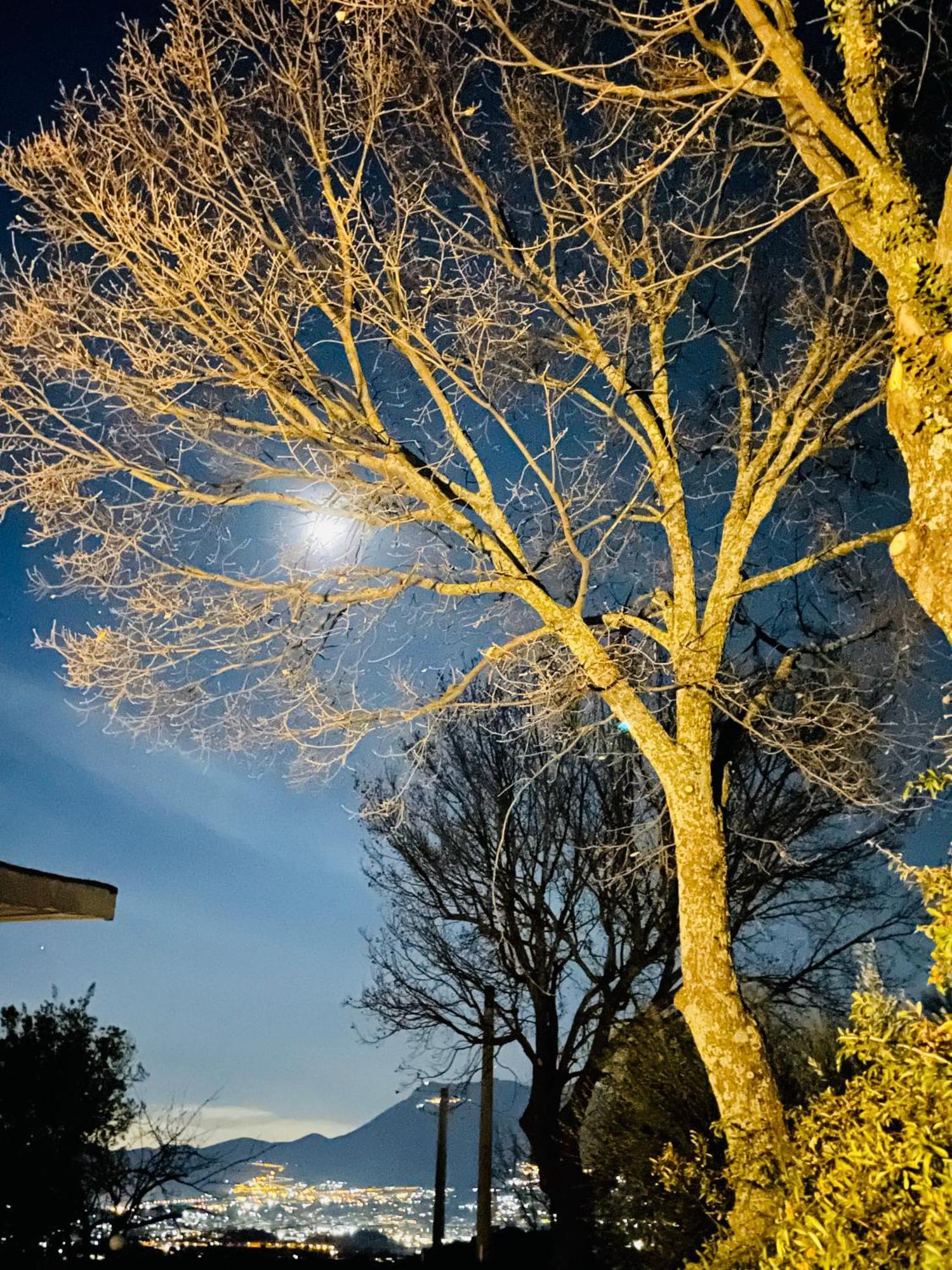 Villa Mandetta B&B Santo Stefano del Sole Экстерьер фото