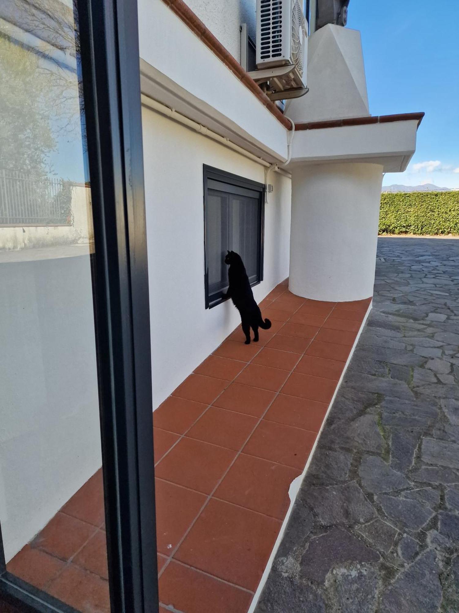 Villa Mandetta B&B Santo Stefano del Sole Экстерьер фото